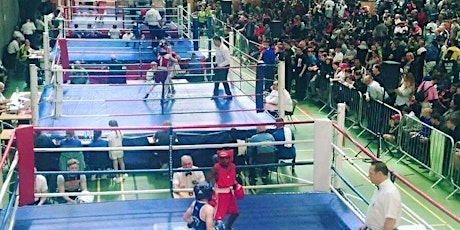 Monkstown International Box Cup 2018 primary image