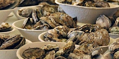 46th Annual Chincoteague Oyster Festival primary image