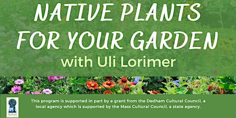 Native Plants for Your Garden with Uli Lorimer