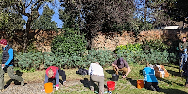 AY Day of Giving - Castle Bromwich Hall Gardens
