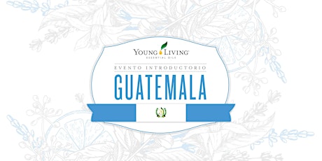 Imagen principal de Introducción a Young Living Guatemala