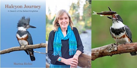 Celebrate Kingfishers with Author Marina Richie
