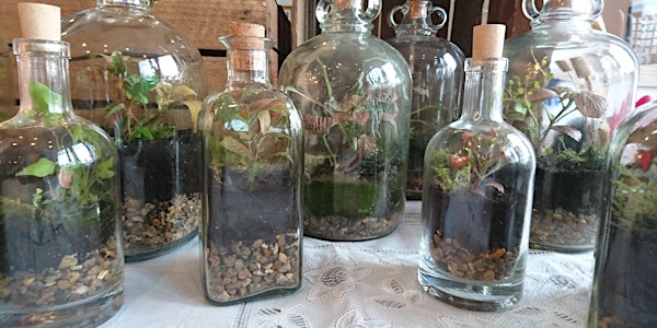 Terrarium Workshop - Lewisham Park