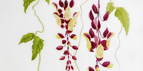 Workshop: Botanical Drawing with Sanath Herath (for ages 16 and above)