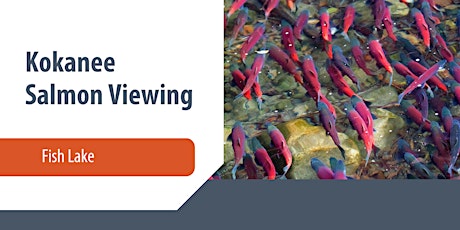 Kokanee Salmon Viewing Event - Fish Lake
