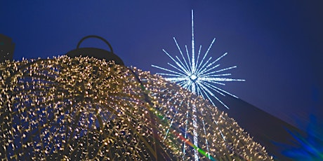 Photowalk: Holiday Lights - Westlake Center & Pike Place Market