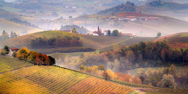 OUT OF THE FOG: PIEDMONT - FOOD & WINE CLASS