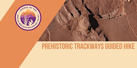 Prehistoric Trackways Guided Hike