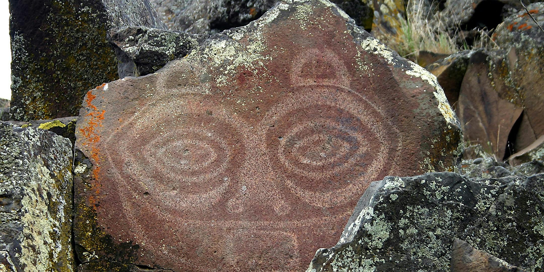 Petroglyphs Tour at Horsethief Lake