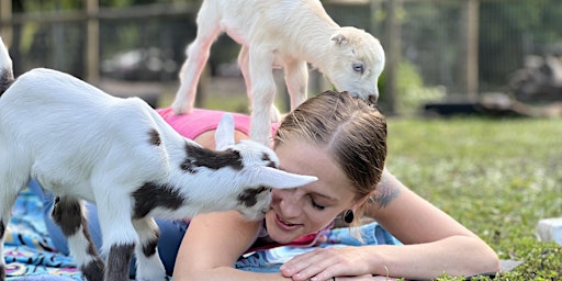 Goat Yoga Class Schedule 2022-23 primary image