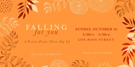 Falling For You - A Picture Perfect Fall Photo Experience