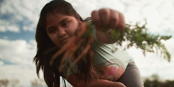 El Camino es la agroecología por Festival Internacional de Cine Ambiental