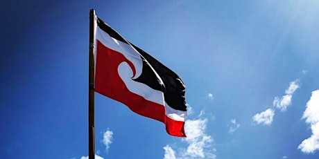 Māori Resistance and Resilience through RM Reforms