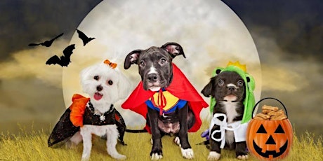 Bring Your Dog To Bingo Howl-O-Ween