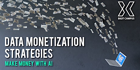 Data Monetization Strategies