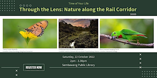 Through the Lens: Nature along the Rail Corridor | Time of Your Life