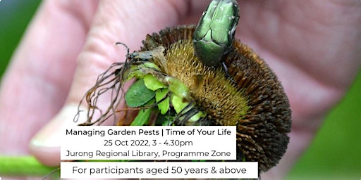 Managing Garden Pests | Time of Your Life