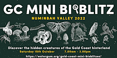 Gold Coast Mini BioBlitzes - Numinbah Valley