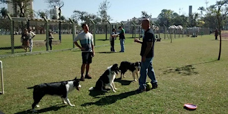 Imagem principal do evento Curso de Adestramento de cães.