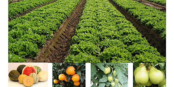 IV Congresso Nacional de Fruticultura e Horticultura, CNEMA - Sala Ribatejo