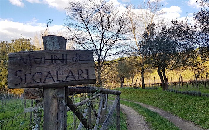 Immagine Oil&Wine - 8K Walk (Super Tuscan Ecomarathon)