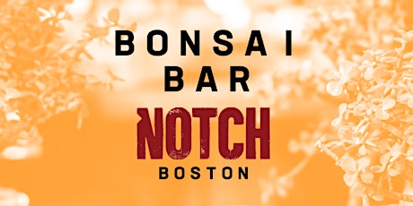 Bonsai Bar @ Notch Brewing - Brighton