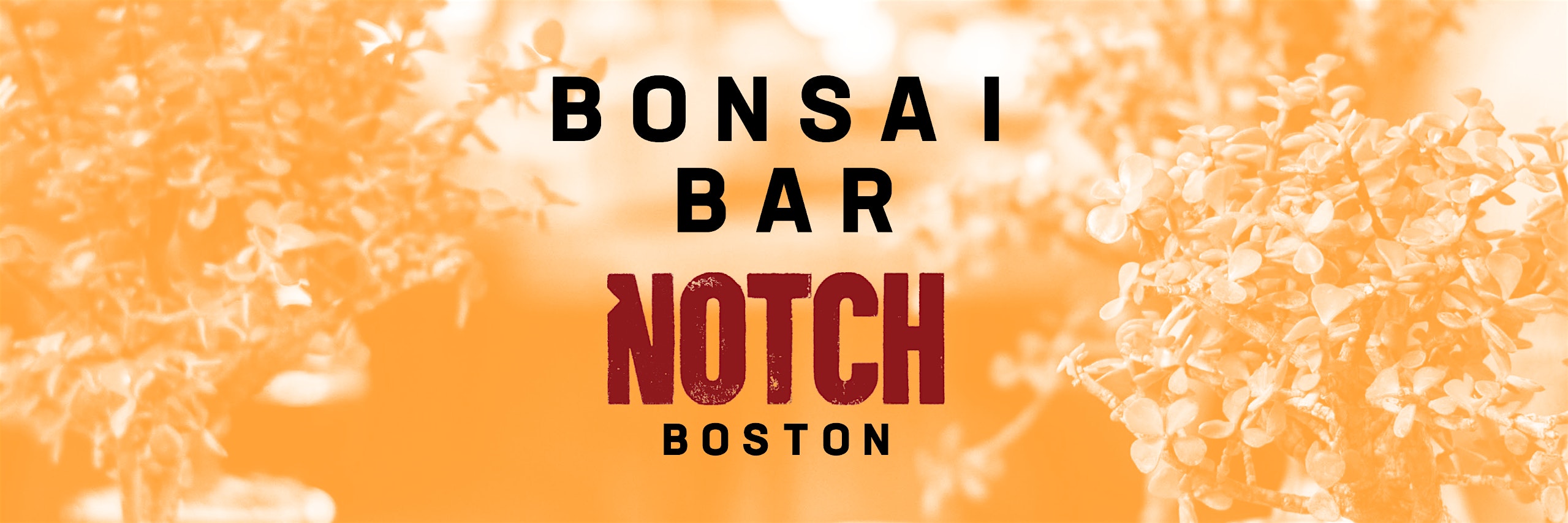 Bonsai Bar @ Notch Brewing – Brighton