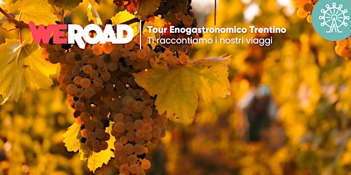 Tour Enogastronomico Trentino | WeRoad ti racconta i suoi viaggi