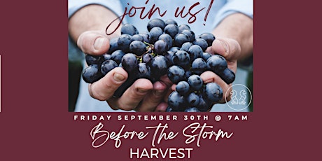 Before the Storm Harvest at Two Lions Vineyards! Friday September 30th!