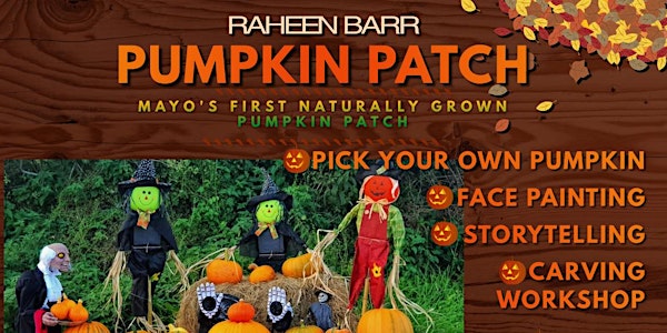 Raheen Barr Pumpkin Patch