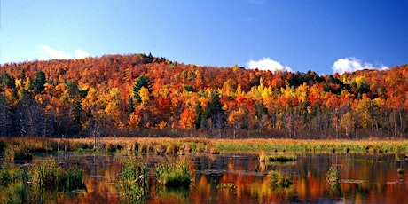 Hike in the Gatineau Park primary image