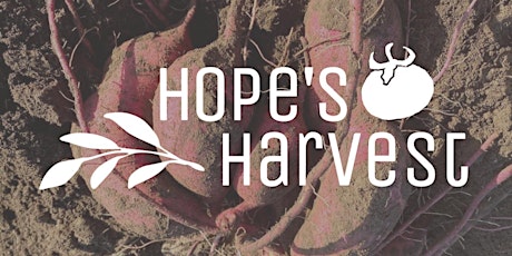 Gleaning with Hope's Harvest Friday, September 30th 10:00AM-12:00PM