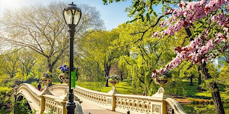 Central Park Singles Stroll
