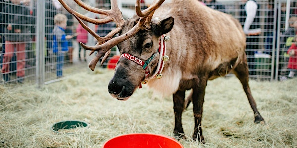 Reindeer Magic Returns to Dennis' 7 Dees Lake Oswego