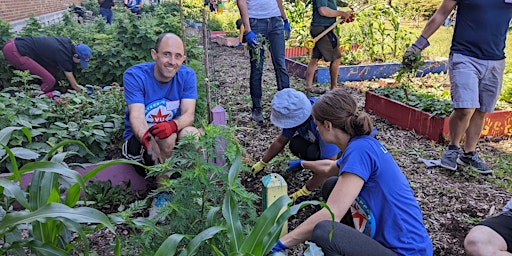 Volunteering Untapped Chicago: Gardeneers - October 2022
