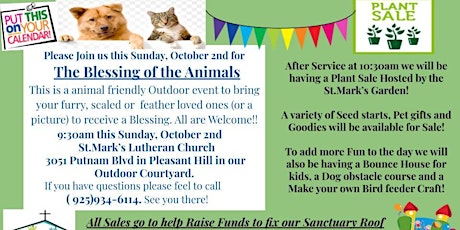Blessing of the Animals, Plant and Pet Good Sale