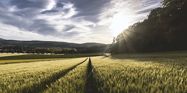 The inconvenient truth about genetic modification…it’s perfectly safe!