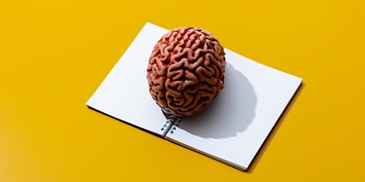 Il cervello che impara: metacognizione, motivazione e apprendimento