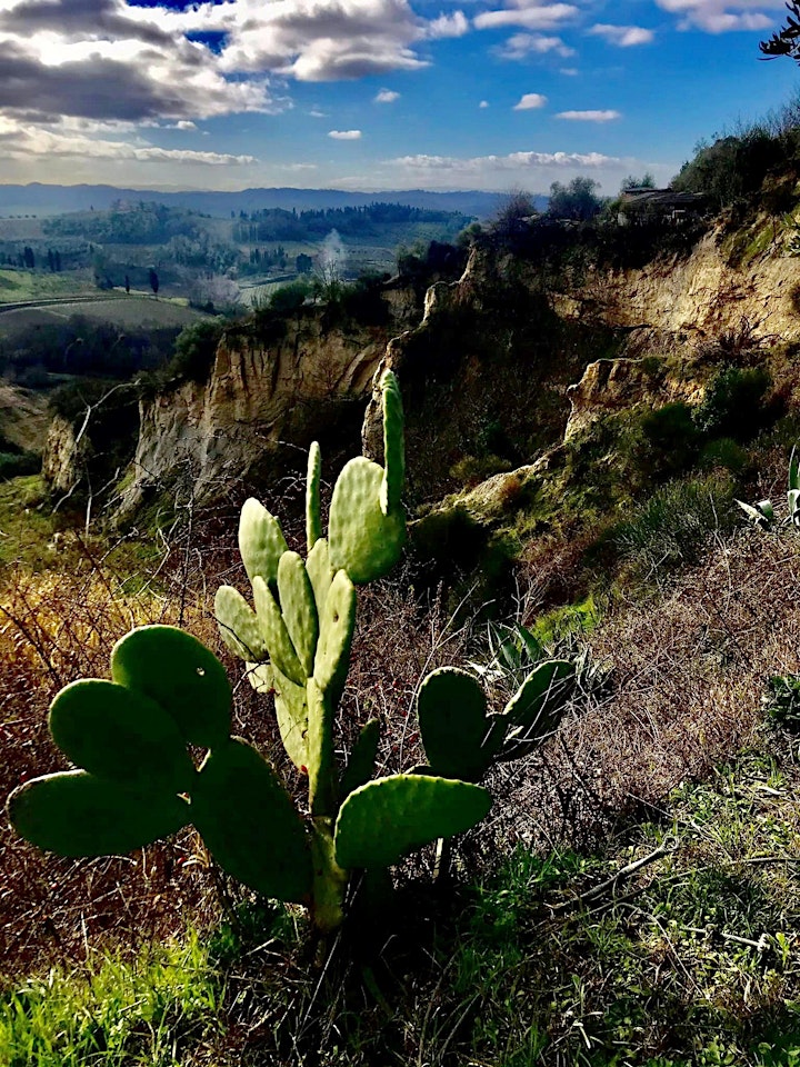 Immagine Escursione a San Miniato, tra paesaggio e tartufo