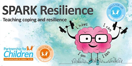 SPARK Resilience Programme Online  Information Session