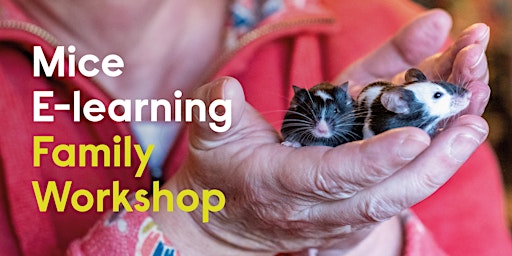 Mice e-learning Family Workshop