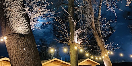 Hauptbild für Weihnacht im Wald - 3. Adventswochenende