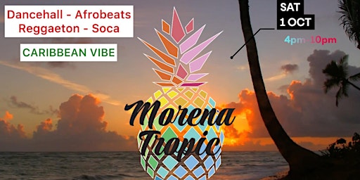 Morena Tropic - Your Caribbean House Party in Gold Coast