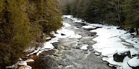 Blackwater Falls, WV - Ski or XC Ski Weekend February 2018 primary image