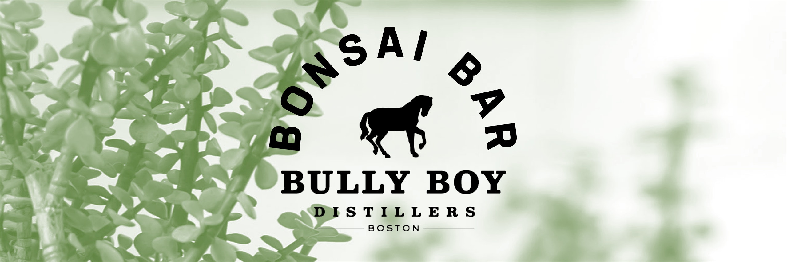 Bonsai Bar @ Bully Boy Distillers