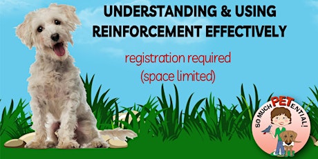 Dog Training Presentation: Understanding & Using Reinforcement Effectively