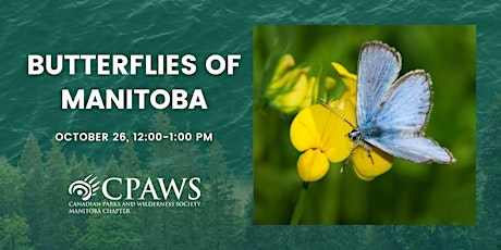 Butterflies of Manitoba: How to identify different species