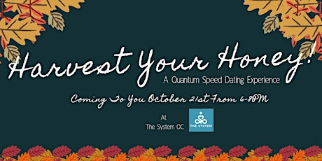 Harvest Your Honey: A Quantum Speed Dating Experience