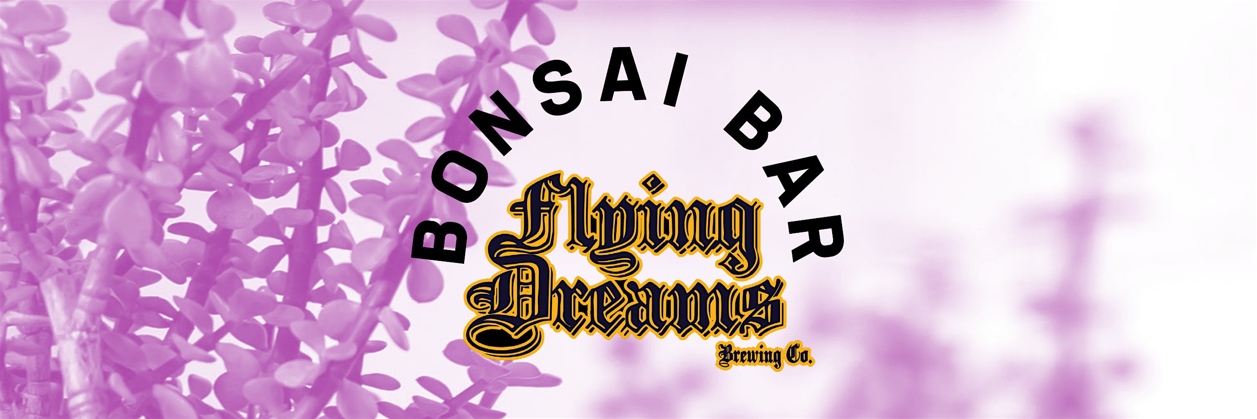 Bonsai Bar @ Flying Dreams Brewing Co.
