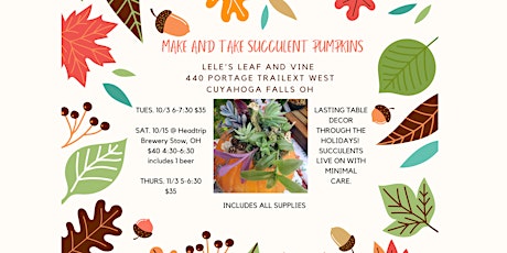 Make and take Succulent pumpkins @ Lele's